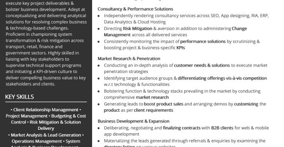 Financial Services Technology Consultant Resume Sample Free Senior Technology Consultant Resume Sample 2020 by Hiration