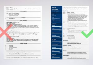 Fine Dining Fish House Resume Sample Restaurant Resume Examples: Template with Skills & Objective