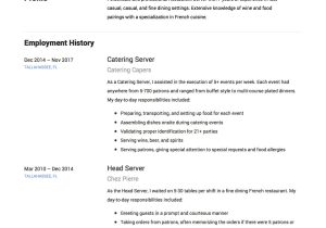 Fine Dining Restaurant Server Resume Sample Server Resume & Writing Guide   17 Examples (free Downloads) 2020