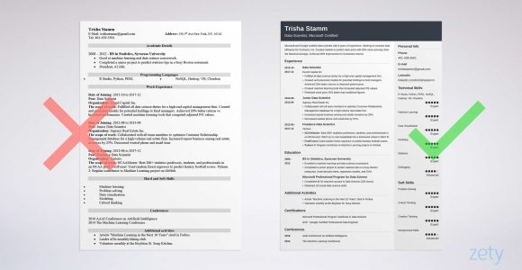 First Data Science Job Resume Sample Data Scientist Resume Examples for Any Industry In 2022