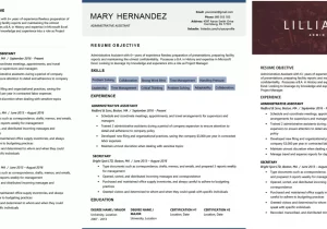 First Data Science Job Resume Sample the 8-step Guide to the Perfect Data Science Resume (2022)