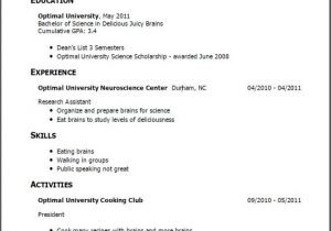 First Resume with No Work Experience Samples Resume for First Job No Experience