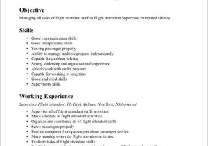 First Time Flight attendant Resume Sample Entry Level Flight attendant Resume No Experience Flight …