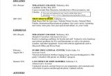 First Year College Student Resume Samples Free 8 College Resume Templates In Pdf
