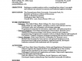 First Year College Student Resume Samples Sample Resume by A First Year Student Free Download
