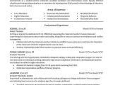 First Year Experience Faculty On Resume Sample Teacher Resume Sample Professional Resume Examples topresume