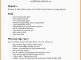 Flight attendant Resume Template No Experience Flight attendant Cv Objective December 2021