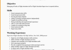 Flight attendant Resume Template No Experience Flight attendant Cv Objective December 2021