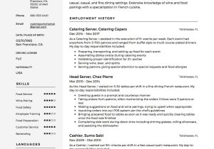 Food and Beverage Server Resume Samples Server Resume & Writing Guide   17 Examples (free Downloads) 2020