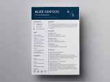 Free Apple Pages Resume Template Download Pages Resume Templates: 10lancarrezekiq Free Resume Templates for Mac