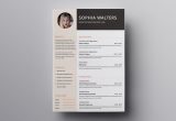 Free Creative Resume Templates for Pages Pages Resume Templates: 10lancarrezekiq Free Resume Templates for Mac