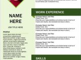 Free Download Resume Template with Picture Resume Templates Word Free Download Resume Template Free, Free …