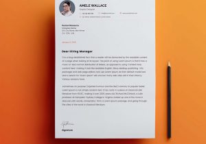 Free Online Resume Cover Letter Template Free Smart Resume / Cv with Cover Letter