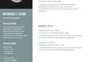 Free Online Resume Templates with Photo Free Online Resume Maker