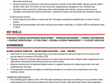 Free Professional Resume Examples and Samples 10 Professional Resume Templates