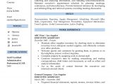 Free Professional Resume Examples and Samples Resume Samples for Free