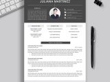 Free Resume and Cover Letter Templates 2022 2021-2022 Pre-formatted Resume Template with Resume Icons, Fonts …