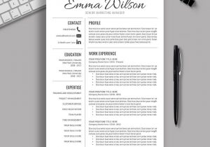 Free Resume and Cover Letter Templates 2022 2021-2022 Pre-formatted Resume Template with Resume Icons, Fonts …
