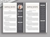 Free Resume and Cover Letter Templates 2022 2021-2022 Pre-formatted Resume Template with Resume Icons, Fonts …