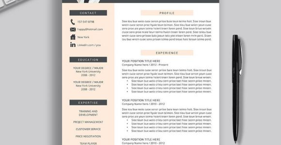 Free Resume and Cover Letter Templates 2022 2021-2022 Pre-formatted Resume Template with Resume Icons, Fonts …