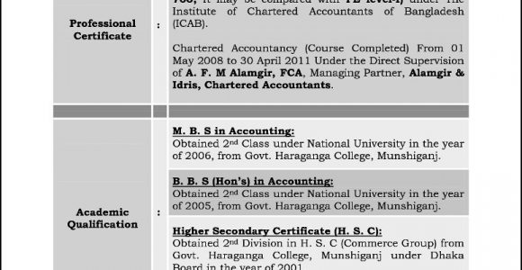 Free Resume Samples for Experienced Professionals Sample Resume for Experienced Professional