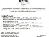 Free Resume Samples for It Professionals 24 It Resume Templates Pdf Doc