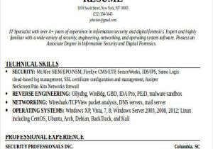 Free Resume Samples for It Professionals 24 It Resume Templates Pdf Doc