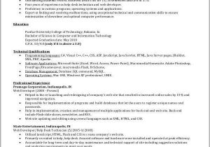 Free Resume Samples for It Professionals Free 16 It Resume Samples In Ms Word