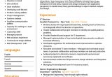 Free Resume Samples for It Professionals It Director Resume Example