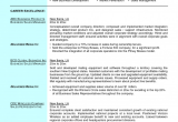 Free Resume Samples for Sales and Marketing Free Resume format for Sales and Marketing Manager Sample
