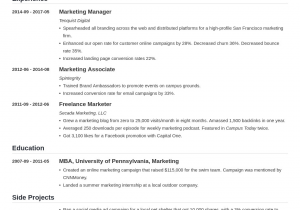 Free Resume Samples for Sales and Marketing Sales and Marketing Resume Template