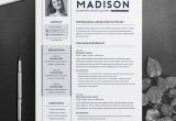 Free Resume Template for Elementary School Teacher Teacher Resume Template for Ms Word