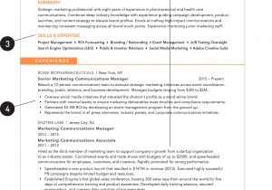 Free Resume Template for Older Worker What Your Resume Should Look Like In 2020 Money