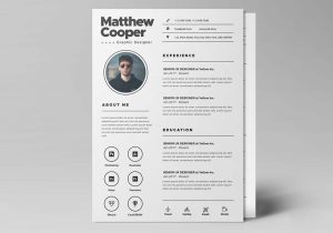 Free Resume Template with Picture Option Free Clean Resume Template (psd)
