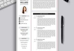Free Resume Templates 2022 with Photo 2021-2022 Pre-formatted Resume Template with Resume Icons, Fonts …
