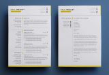 Free Resume Templates Downloads with No Fees 2 Page Free Resume Template (psd)