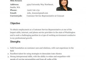 Free Resume Templates for Customer Service Representative Free Resume Writing Help Templates Customers Service; Free Resume …