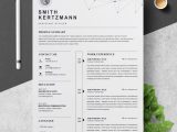 Free Resume Templates for Experienced Professionals Professional Resume Template â Free Resumes, Templates Pixelify.net