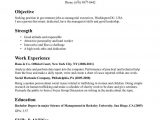 Free Resume Templates for Government Jobs Template for Professional Resume
