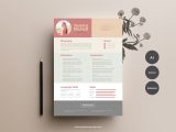 Free Resume Templates for Graphic Designers Free Simple and Elegant Resume Template In Illustrator (ai) format …