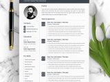 Free Resume Templates for Marketing Manager Modern Marketing Manager Resume – Resumeinventor