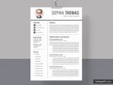 Free Resume Templates for Recent College Graduates Simple Cv Templates for 2021, Professional Resume Templates, for Students, Interns, College Graduates, Mba Graduates, Experienced Professionals and …