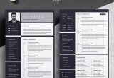 Free Resume Templates Online to Print Resume / Cv Template Black & White â Free Resumes, Templates …