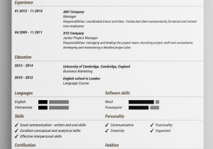 Free Sample Of Activities Tech Worker Resume Best Free Resume Templates to Download In Pdf