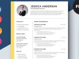 Free Sample Of Business Analyst Resume Free Agile Business Analyst Resume Template with Elegant Look