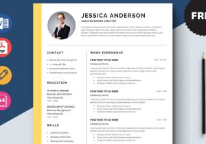 Free Sample Of Business Analyst Resume Free Agile Business Analyst Resume Template with Elegant Look