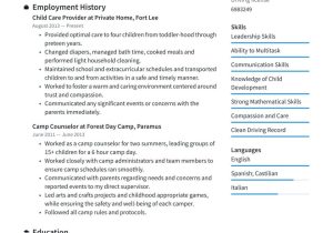 Free Sample Of Direct Care Worker Resume Child Care Resume Examples & Writing Tips 2022 (free Guide)