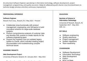 Free Sample Of Entry Level Resumes Entry-level Information Technology Resume Examples In 2022 …