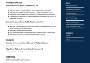 Free Sample Of Executive assistant Resume Executive assistant Resume Examples & Writing Tips 2022 (free Guide)