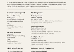 Free Sample Of Resume Of A Marketing Graduate Free, Printable, Customizable Photo Resume Templates Canva